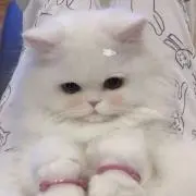 mの画像