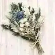 ✿ pomの画像