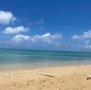 海の画像