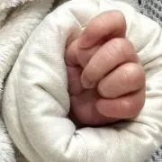 NOOの画像
