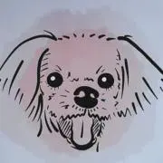 Rachelの画像