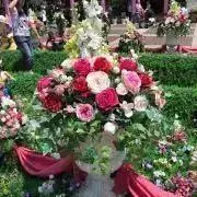 ちゃー☆☆プロフィール必読の画像