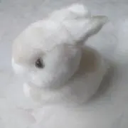 SENAKO☆の画像