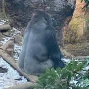 うとの画像