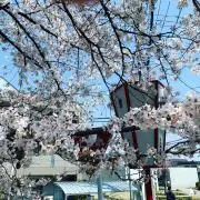 三宅美羽 2026年カレンダー 直筆サイン入りオフショットチェキ - メルカリ
