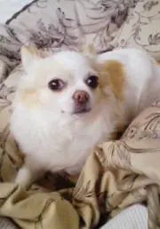 J.ヨツチーの画像