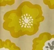らむねの画像