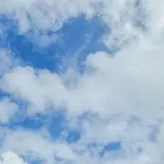 みぃこの画像