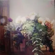 cocoの画像
