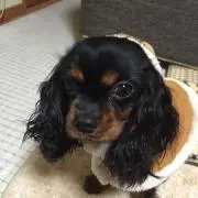 タクミの画像