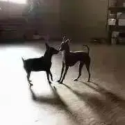 namiの画像
