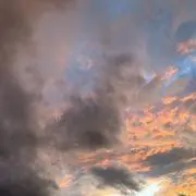 Mの画像