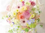 くー✨(お値下げはコメントお願いします)