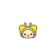 ちょこちゃの画像