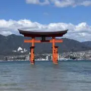 Rの画像