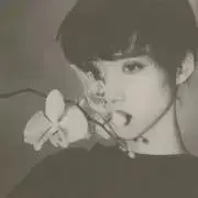 ぴの画像