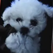 なおちゃんねる