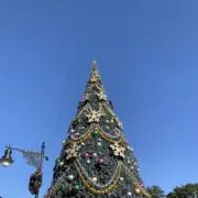 ゆんの画像