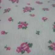 ナナナナの画像