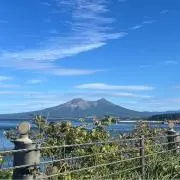 ロイの画像