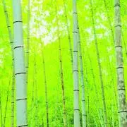 Riり