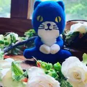 JUJUりんの画像
