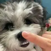 renren_2020の画像