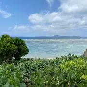 Image of oha