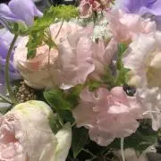 自由子の画像