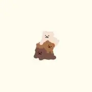 まりの画像