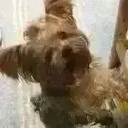 もなたんの画像
