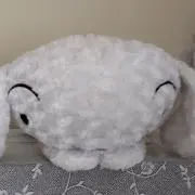 ごじゅならの画像