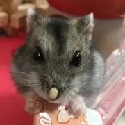 Mの画像