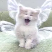 angelblue