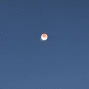 月はたこ焼き (断捨離中)の画像