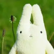 ★タピオカぴ★