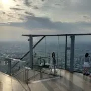 まめの画像