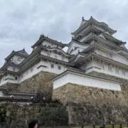 ホワイトウッドの画像