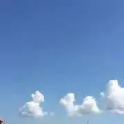 ウミカネの画像