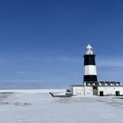 チョビの画像