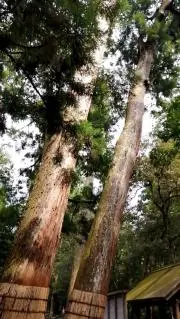 匿名配送の画像