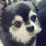 たんけん