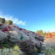 くらがりの画像