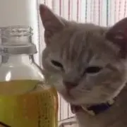 ベル