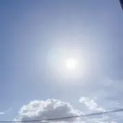 ガオマルの画像