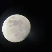 mameの画像