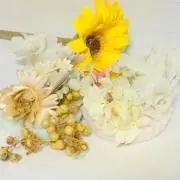 La Serenadeの画像