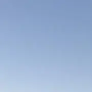 nyの画像