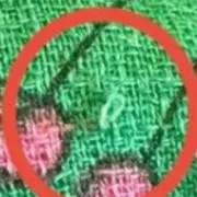 Ｎ