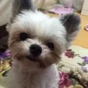 ここみぷらん